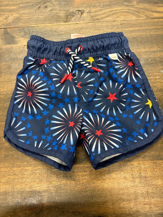 Cat & Jack Swim Trunks